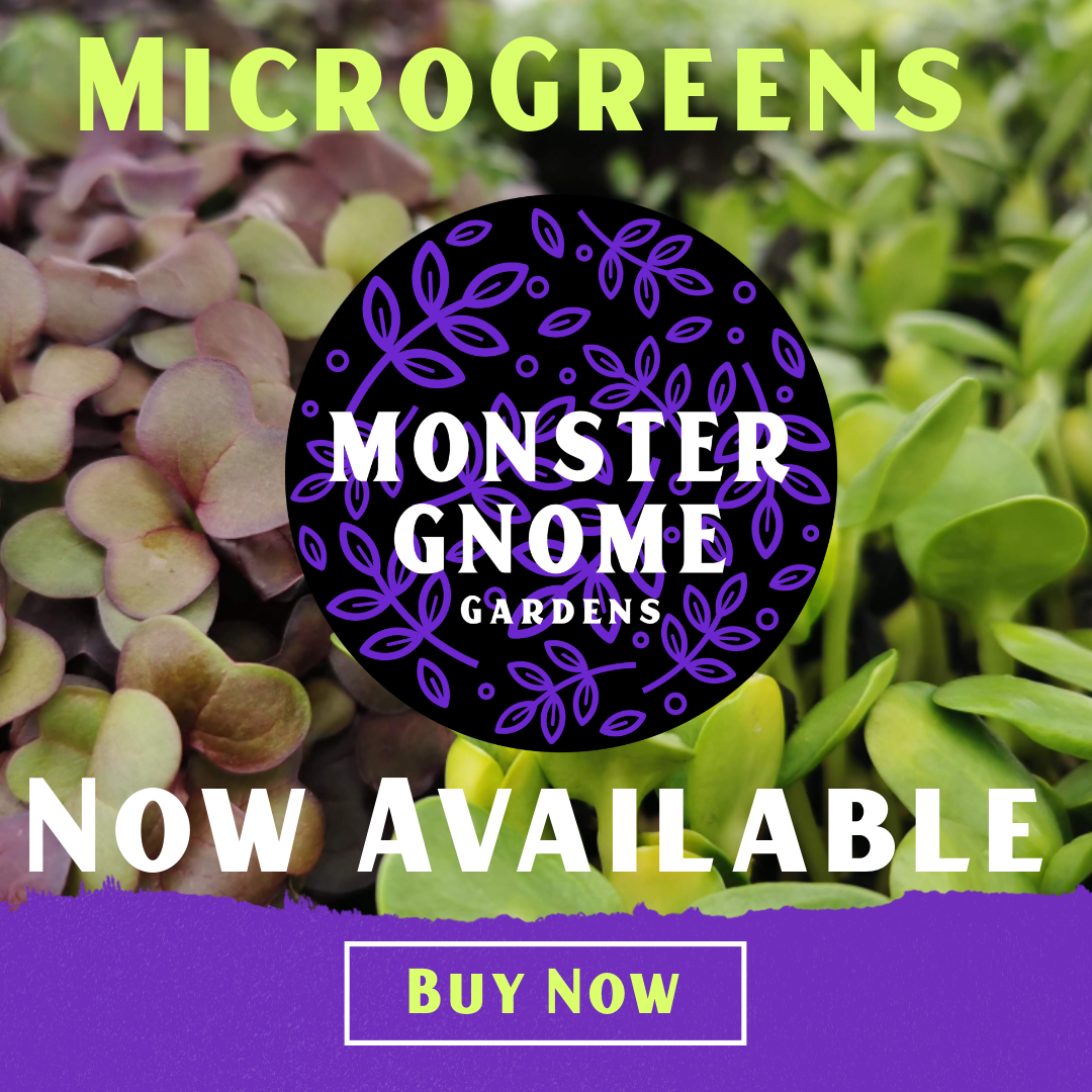 MicroGreens Now Available